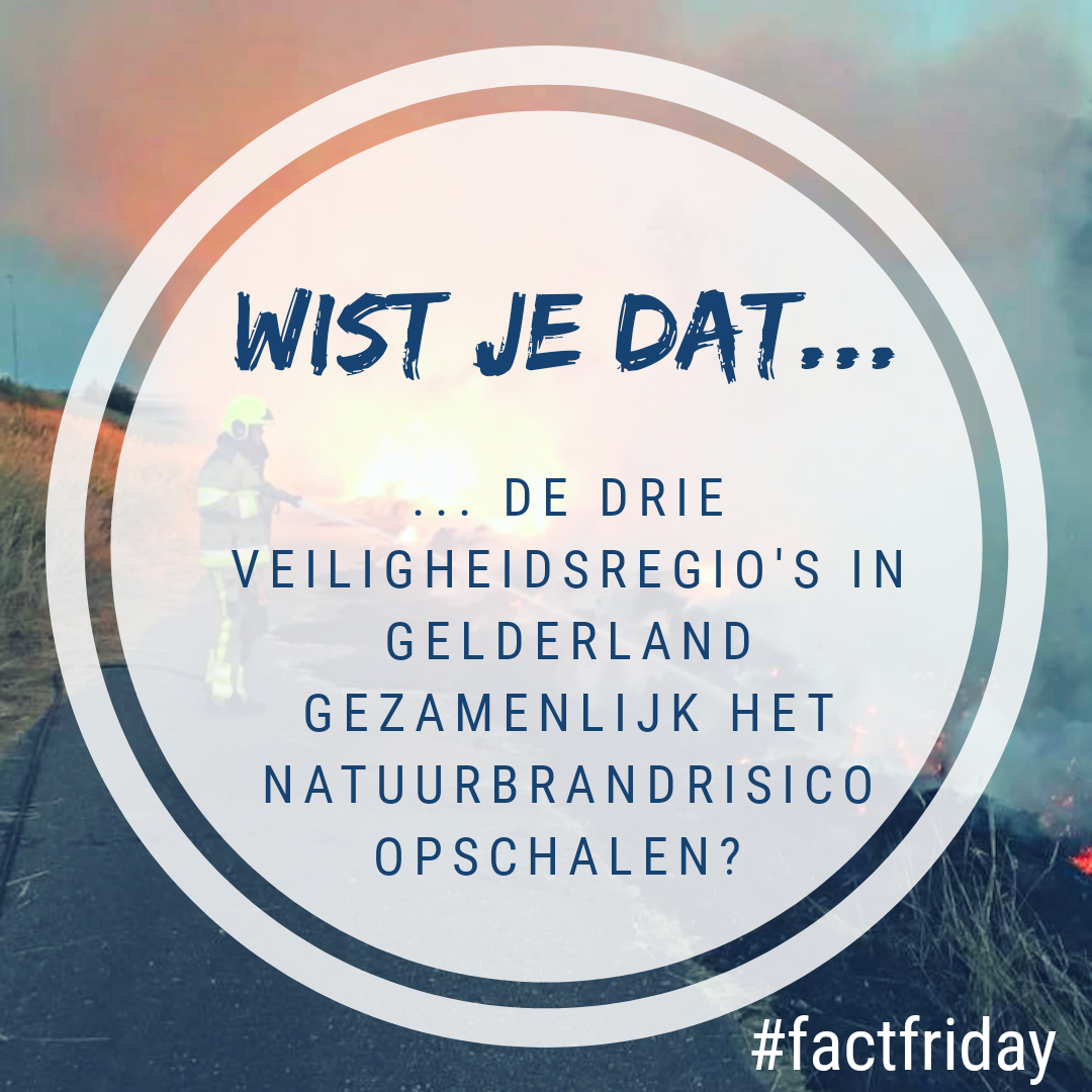 factfriday 17 mei.png